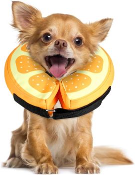 WZ PET Soft Donut Recovery Collar