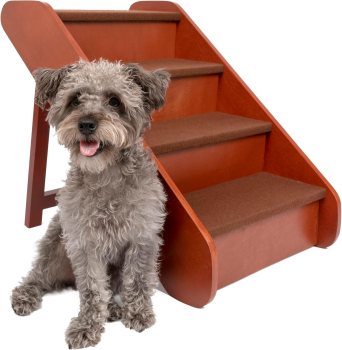 PetSafe Solvit PupSTEP Wood