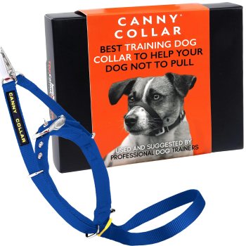 Canny Collar Training