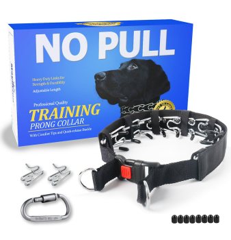 Mayerzon Prong Collar