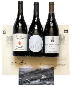 Fruity Vines 2024 Pinot Noir