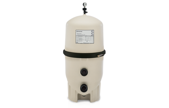 Pentair FNS Plus FNSP60