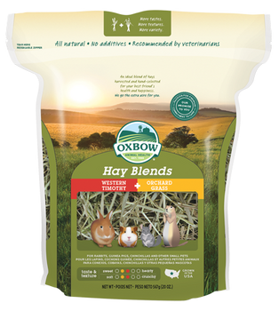 Oxbow Western Timothy Hay