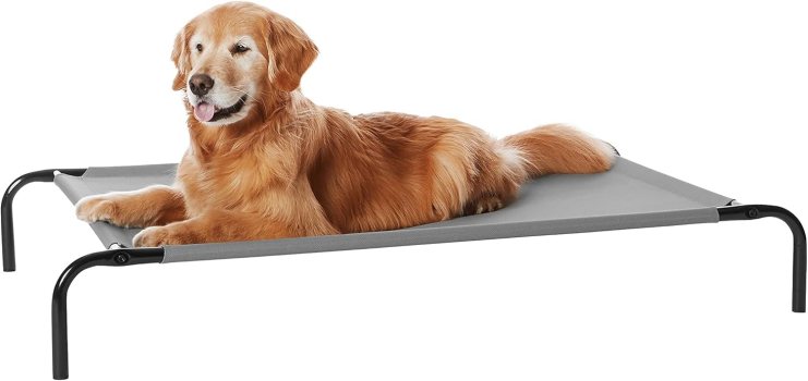 AmazonBasics Elevated Portable Pet Bed