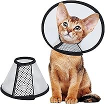 Vivifying Adjustable Pet Cone