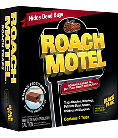 Black Flag Roach Motel Insect Trap