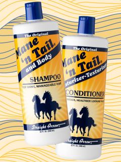 Best Shampoos for Horses