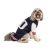 Chilly Dog Classic Striped Shirt