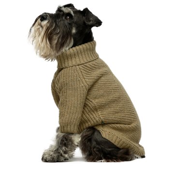 Fitwarm Stylish Dog Hoodie