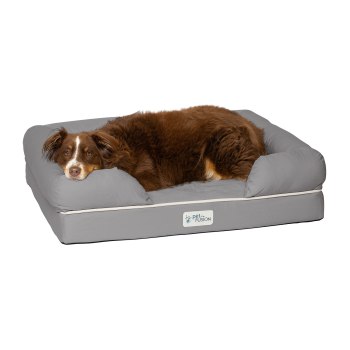 PetFusion Ultimate Orthopedic Foam Bed