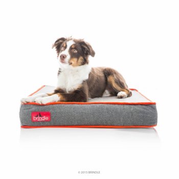 Brindle Waterproof Designer Memory Foam