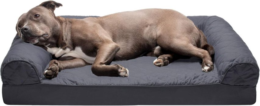 Furhaven Plush Orthopedic Sofa