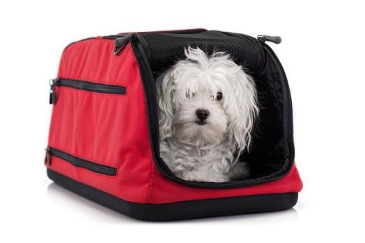 Sleepypod Air In-Cabin