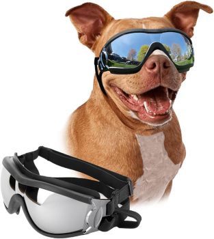 Petleso Dog Sunglasses