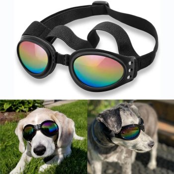 QUMY Dog Goggles