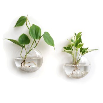 Mkono Hanging Glass Terrarium Set