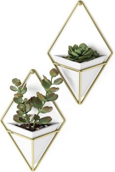 Umbra Trigg Wall Mount Terrarium