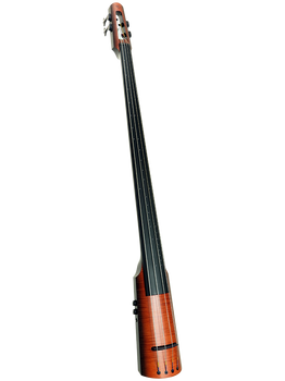 NS Design NXT4a Upright Bass