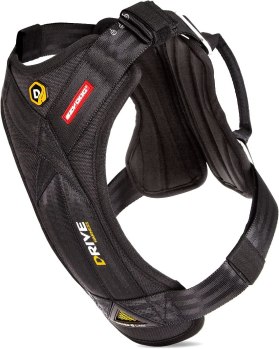 EzyDog Drive Safety Travel