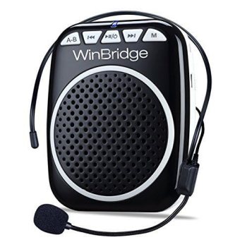 WinBridge WB001