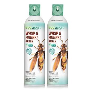 EcoSmart Wasp & Hornet Killer
