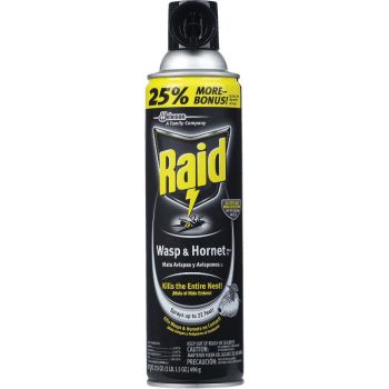 Raid Wasp & Hornet Killer