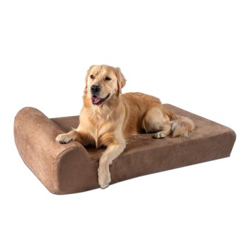 Big Barker 7-inch Pillow Top Orthopedic Dog Bed