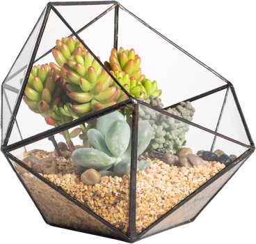 NCYP Geometric Glass Terrarium