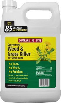 Compare-N-Save Concentrate Grass and Weed Killer