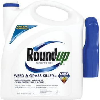 Roundup Ready-To-Use Weed & Grass Killer III