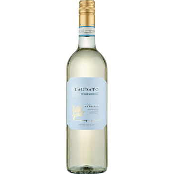 Veneto Pinot Grigio 2024