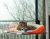 K&H Pet Products EZ Mount Window Bed