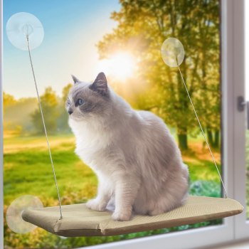 PETPAWJOY Cat Bed Window Perch