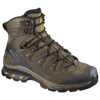 Salomon Quest 4D 3 GTX
