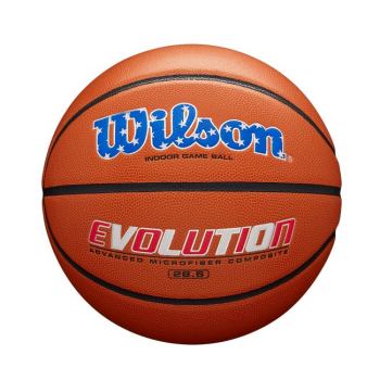 Wilson Evolution Game Basketball